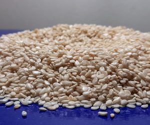 Zagreb, 26.01.2021 - Hrvatska i ostale europske zemlje vec su mjesecima preplavljene kontaminiranim sezamom uvezenim iz Indije koji sadri kancerogeni pesticid etilen oksid zbog cega je i s hrvatskog s trita povucen niz proizvoda od sezama. Incident s pesticidom etilen oksidom kojim su tretirane sjemenke sezama vec je neko vrijeme predmet tzv. RASFF postupanja medu zemljama clanicama EU i trecih zemlja, a zasad je utvrdeno da je sezam podrijetlom iz Indije, rekao je Hini voditelj hrvatskog odjela za RASFF Alen Petricevic. Na slici Sezam, zrno Sezama.
foto HINA/ Mario VRANDECIC/ ds