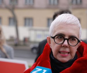Zagreb, 29.01.2021. - Na konferenciji za medije u ime Zajednice stručnjaka i znanstvenika Obnovimo Zagreb Marina Pavković objavit će svoju kandidaturu za gradonačelnicu Zagreba, kao i sudjelovanje te zajednice na lokalnim izborima za Skupštinu Grada Zagreba. foto HINA/ Tomislav PAVLEK/ tp