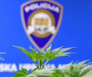 08.03.2018., Cakovec - Izvanredna konferencija za medije u Policijske uprave medjimurske u vezi zapljene vece kolicine marihuane. Medjimurski policajci "razbili" su lanac proizvodjaca marihuane u Strahonincu i Cakovcu. Otkriven je pravi ilegalni laboratorij, a drugi je bio u izradi. Ujedno je zaplijenjeno vice od dva kilograma marihuane i 29 stabljiki indijske konoplje. Photo: Vjeran Zganec Rogulja/PIXSELL