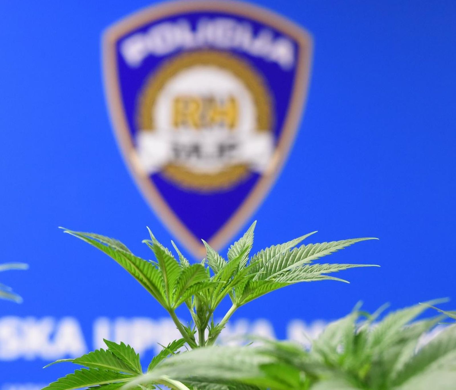 08.03.2018., Cakovec - Izvanredna konferencija za medije u Policijske uprave medjimurske u vezi zapljene vece kolicine marihuane. Medjimurski policajci "razbili" su lanac proizvodjaca marihuane u Strahonincu i Cakovcu. Otkriven je pravi ilegalni laboratorij, a drugi je bio u izradi. Ujedno je zaplijenjeno vice od dva kilograma marihuane i 29 stabljiki indijske konoplje. Photo: Vjeran Zganec Rogulja/PIXSELL