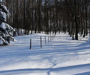 26.01.2021., Velika/ Izletiste Jankovac, Na dionici ceste Velika - Planinarski dom Jankovac, odvojku prema vojnoj bazi na Papuku u snijegu su pronadjena dva smrznuta tijela. Tijela su pronasli djelatnici zimske sluzbe koji su uklanjali ogromne nanose snijega na inace tesko prohodnoj makadamskoj cesti kroz gustu sumu na Papuku prema izletistu Jankovac, petnaestak kilometara od mjesta Velika.
Photo: Ivica Galovic/PIXSELL
