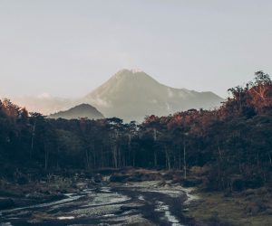 Unsplash/Camille Bismonte