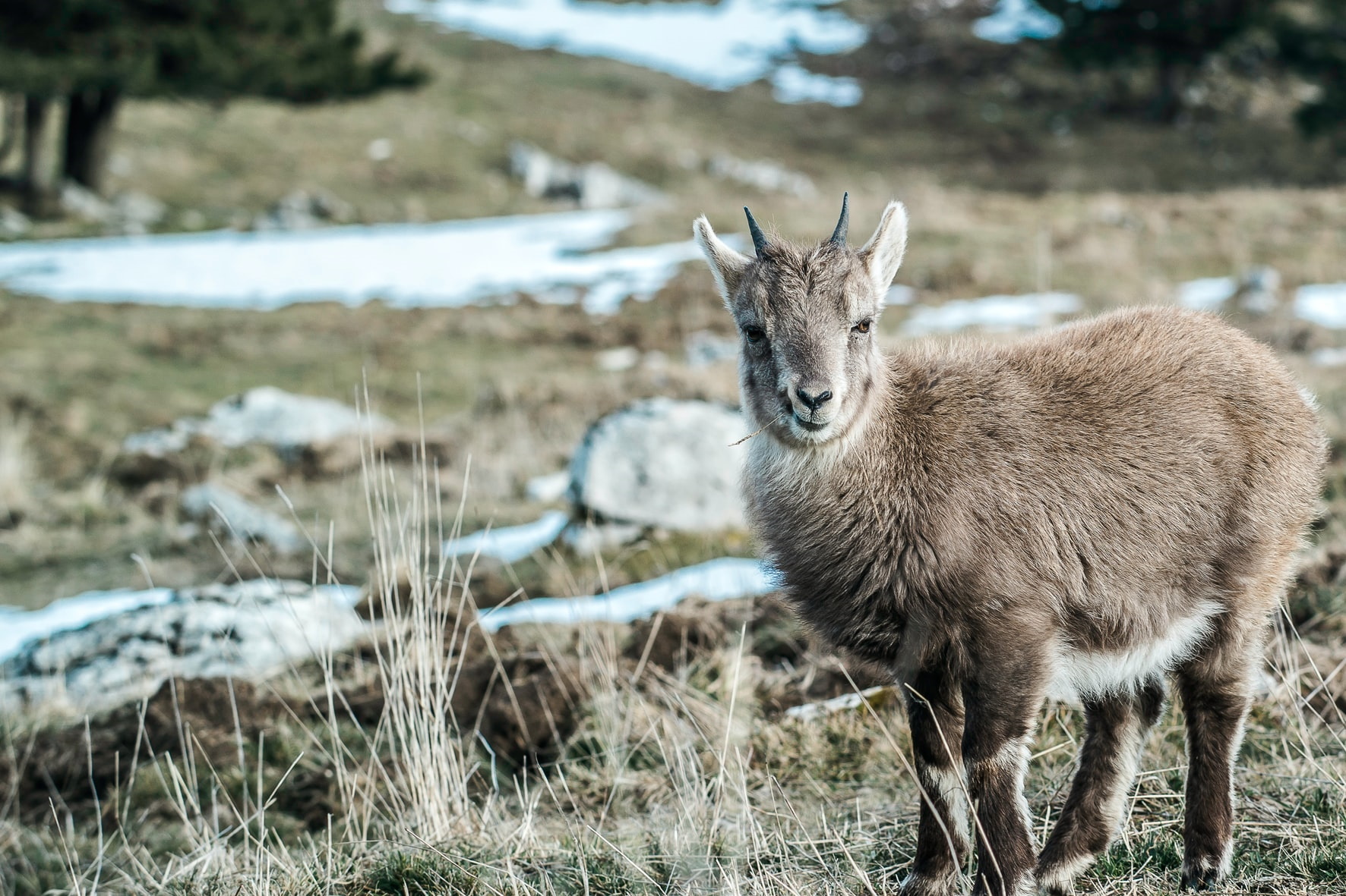 Unsplash/Nicomiot Photographies