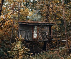 Unsplash/Kristaps Ungurs