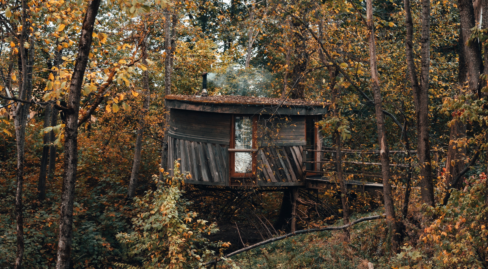 Unsplash/Kristaps Ungurs