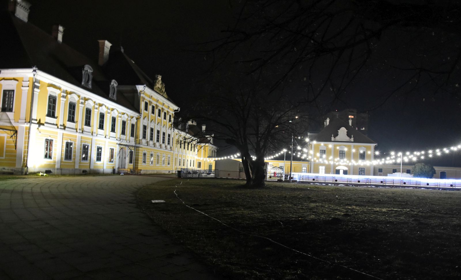 Vukovar, 29.01.2021. - Dvorac Eltz, gradski muzej Vukovar, u uvjetima prilagođenim postojećoj situaciji održana je 16. digitalna Noć muzeja. Uz zatvoren stalni postav u paviljonu ll izložba fotografija gradskog muzeja Vukovar u obnovi kulturnog života Vukovara i u galeriji Oranzerija "Fotosinteza" retrospektivna izložba Zvonimira Tanockog.
foto HINA/ ml