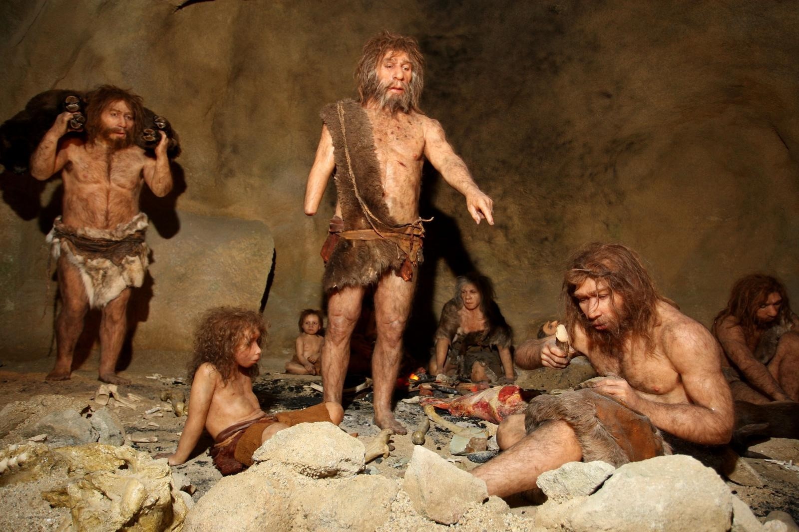 23.02.2010., Krapina - Uredjenje i zavrsne pripreme za otvorenje Muzeja krapinskih neandertalaca. 
Photo: Boris Scitar/PIXSELL