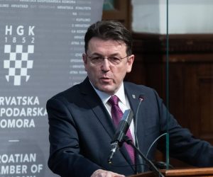 21.12.2020., Zagreb - HGK, konferencija za medije -  osvrt na gospodarsku 2020. Luka Burilovic. 
Photo: Davor Puklavec/PIXSELL