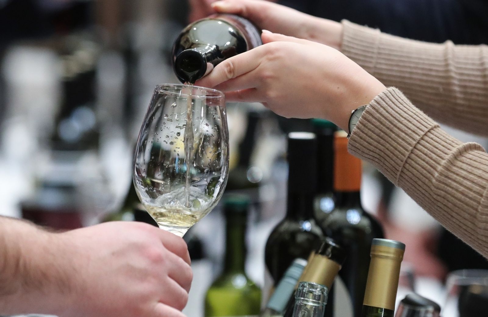 Zagreb: Vinistra održala osmo en primeur kušanje mladih malvazija 11.02.2019., Zagreb -  En Primeur 2019., kusanje mladih malvazija na kojoj se, u organizaciji udruge Vinistra i Udruzenja vinarstva, predstavilo sezdesetak proizvodjaca vina malvazije istarske, te proizvodjaci zlahtine i autohtonih sorti bregovite Hrvatske. 
Photo: Robert Anic/PIXSELL