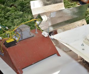 12.11.2015., Sisak - Djelatnici PU sisacko-moslavacke u akciji provedenoj u Medjuricu kraj Kutine kod 21-godisnjaka pronasli laboratorij za uzgoj indijske konoplje i 225 stabljika ove biljke. 
Photo: Nikola Cutuk/PIXSELL