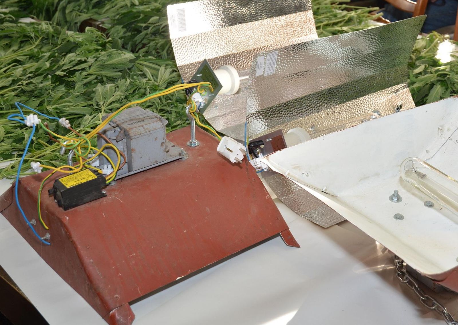 12.11.2015., Sisak - Djelatnici PU sisacko-moslavacke u akciji provedenoj u Medjuricu kraj Kutine kod 21-godisnjaka pronasli laboratorij za uzgoj indijske konoplje i 225 stabljika ove biljke. 
Photo: Nikola Cutuk/PIXSELL