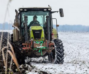 22.01.2021., Osijek - Zimsko oranje. Photo: Dubravka Petric/PIXSELL