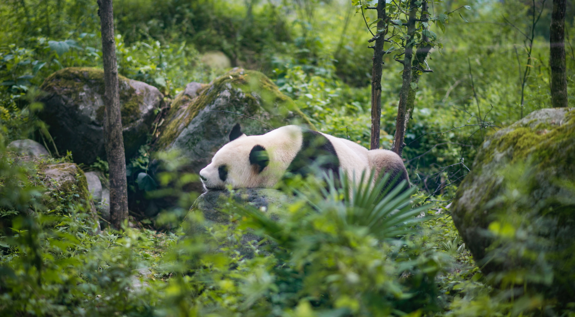 Unsplash/Yujia Tang