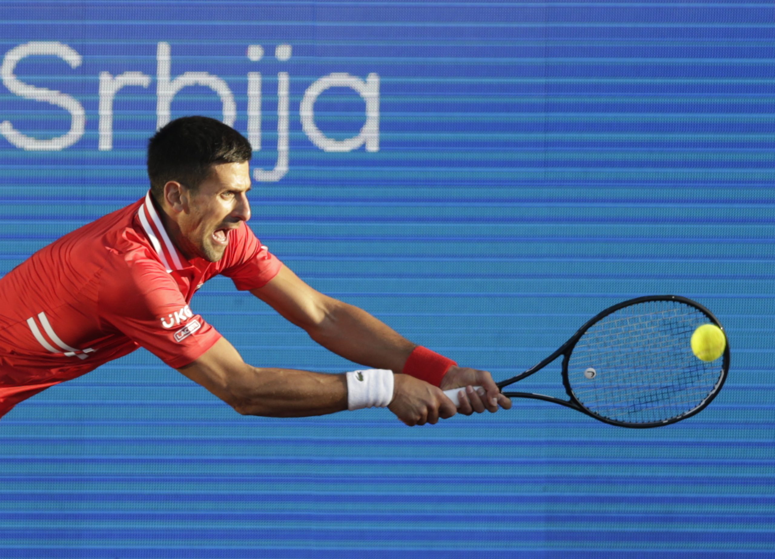 epa09157110 Novak Djokovic of Serbia in action against Aslan Karatsev of Russia during their semi final match of the Serbia Open tennis tournament in Belgrade, Serbia, 24 April 2021.  EPA/ANDREJ CUKIC