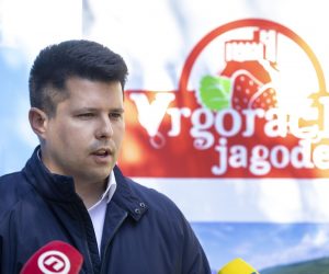 15.04.2021., Vrgorac - Zapocela sezona berbe jagoda na vrgorackom podrucju.
gradonacelnik Vrgorca Ante Pranic
Photo: Miroslav Lelas/PIXSELL
