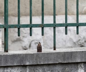 26.04.2021., Sibenik - Policijski ocevid ispred redisnjice SDP-a gdje je nepoznati pocinitelj navodno ostavio eksplozivnu napravu poznatu pod imenom "zvoncic".
Photo: Dusko Jaramaz/PIXSELL