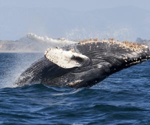 Unsplash/Mike Doherty