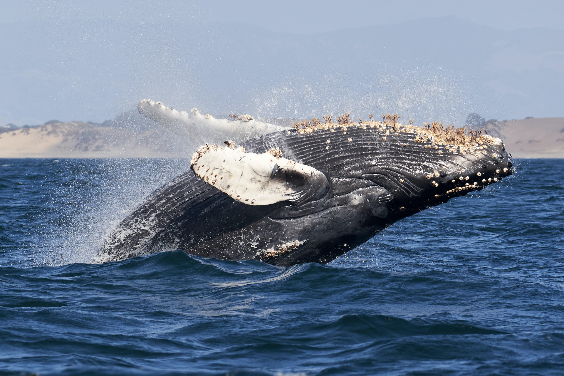 Unsplash/Mike Doherty