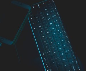 Unsplash/Jonathan Chng