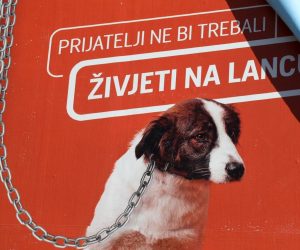 07.03.2021., Sibenik - U Sibeniku su osvanuli plakati nacionalne kampanje Za Hrvatsku bez pasa na lancu jer prijatelji ne bi trebali zivjeti na lancu.
Photo: Dusko Jaramaz/PIXSELL