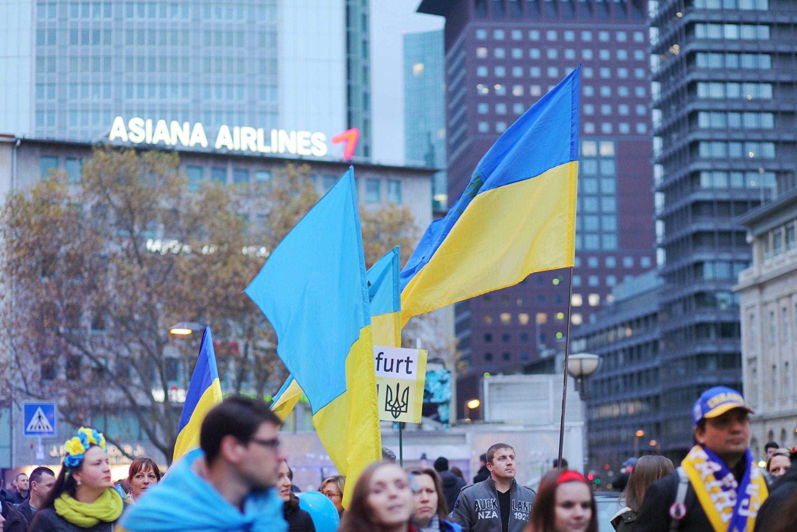 15.11.2014., Frankfurt, Njemacka - Pro ukrajinski prosvjed njemackih gradjana protiv Vladimira Putina na ulicama Frankfurta na Majni. 
Photo: Tomislav Miletic/PIXSELL