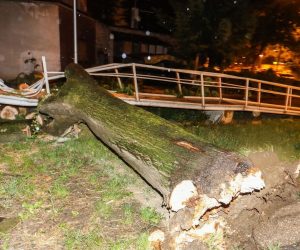 27.5.2021., Zagreb - Jak vjetar srusio je stablo na invalidski prilaz stambene zgrade u Studentskom naselju. Photo:Marin Tironi/PIXSELL