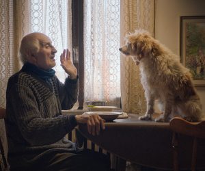 Zagreb, 16.6.201.- Dokumentarnim filmom "Lovci na tartufe" Michaela Dwecka i Gregoryja Kershawa otvara se ovogodinji Motovun Film Festival, koji æe se odrati od 27. do 31. srpnja u srcu 'zemlje tartufa' - Motovunske ume. Na slici kadar iz filma "Lovci na tartufe". 
foto HINA/ Motovun Film Festival/ ua