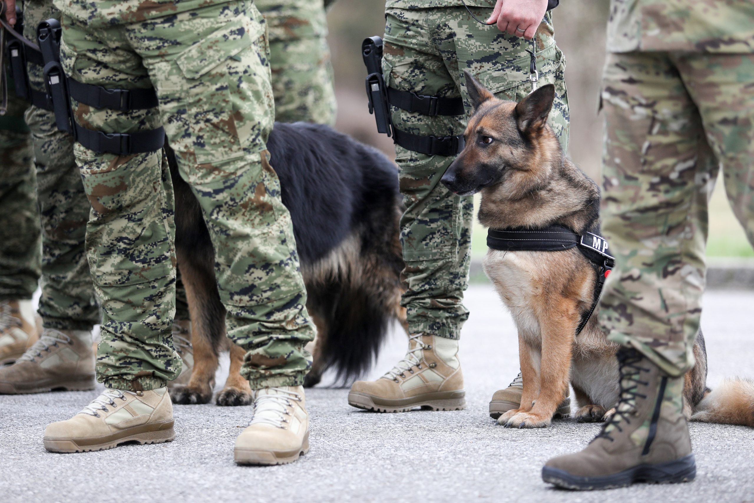 06.03.2020., Zagreb - U vojarni Pukovnik Marko Zivkovic na Plesu odrzan je svecani ispracaj 12. hrvatskog kontingenta (HRVCON) u misiju potpore miru Resolute Support u Afganistan, koji broji 107 pripadnika.
Photo: Borna Filic/PIXSELL