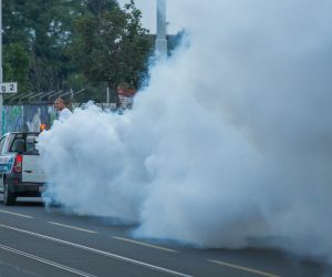 19.06.2019., Osijek - Zaprasivanje komaraca na osjeckim ulicama. Photo: Davor Javorovic/PIXSELL