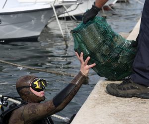 27.09.2020.,Sibenik - Povodom proslave sv. Mihovila,dana grada Sibenika,organizirano je ciscenje podmorja  uz sibensku rivu u Docu,od dizalice do vk Krka.Sudjelovalo je vise od 80 ronilaca u moru i jos toliko na kopnu.
Photo: Dusko Jaramaz/PIXSELL