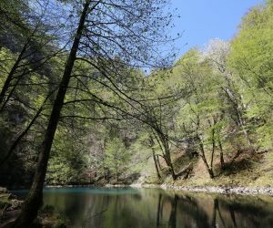 17.04.2020., Crni lug - Izvor rijeke Kupe u Nacionalnom parku Risnjak. ILustracije
Photo: Goran Kovacic/PIXSELL
