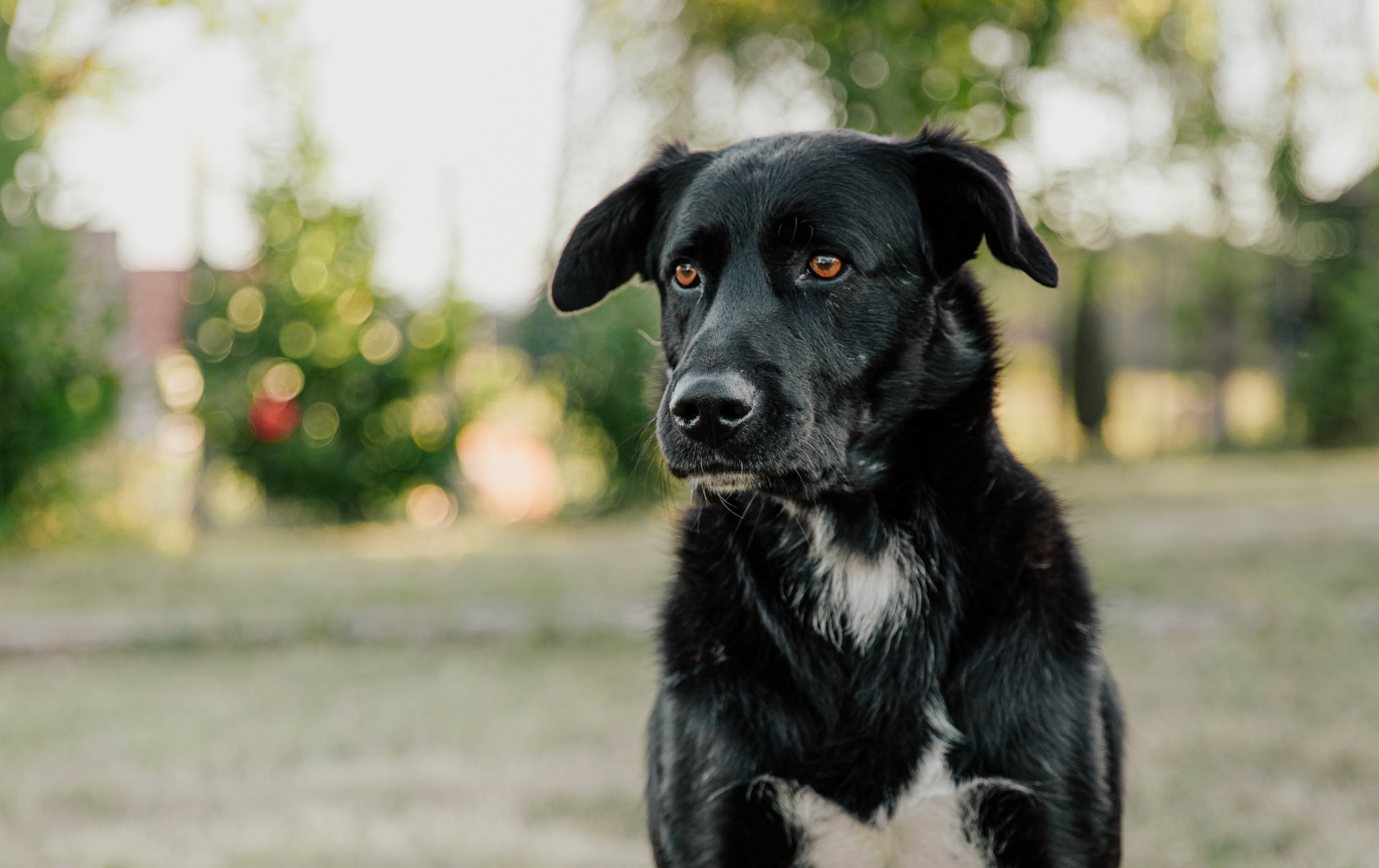 Unsplash/Bianca Ackermann
