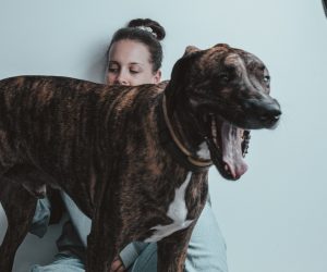 Unsplash/Mark Broadhead