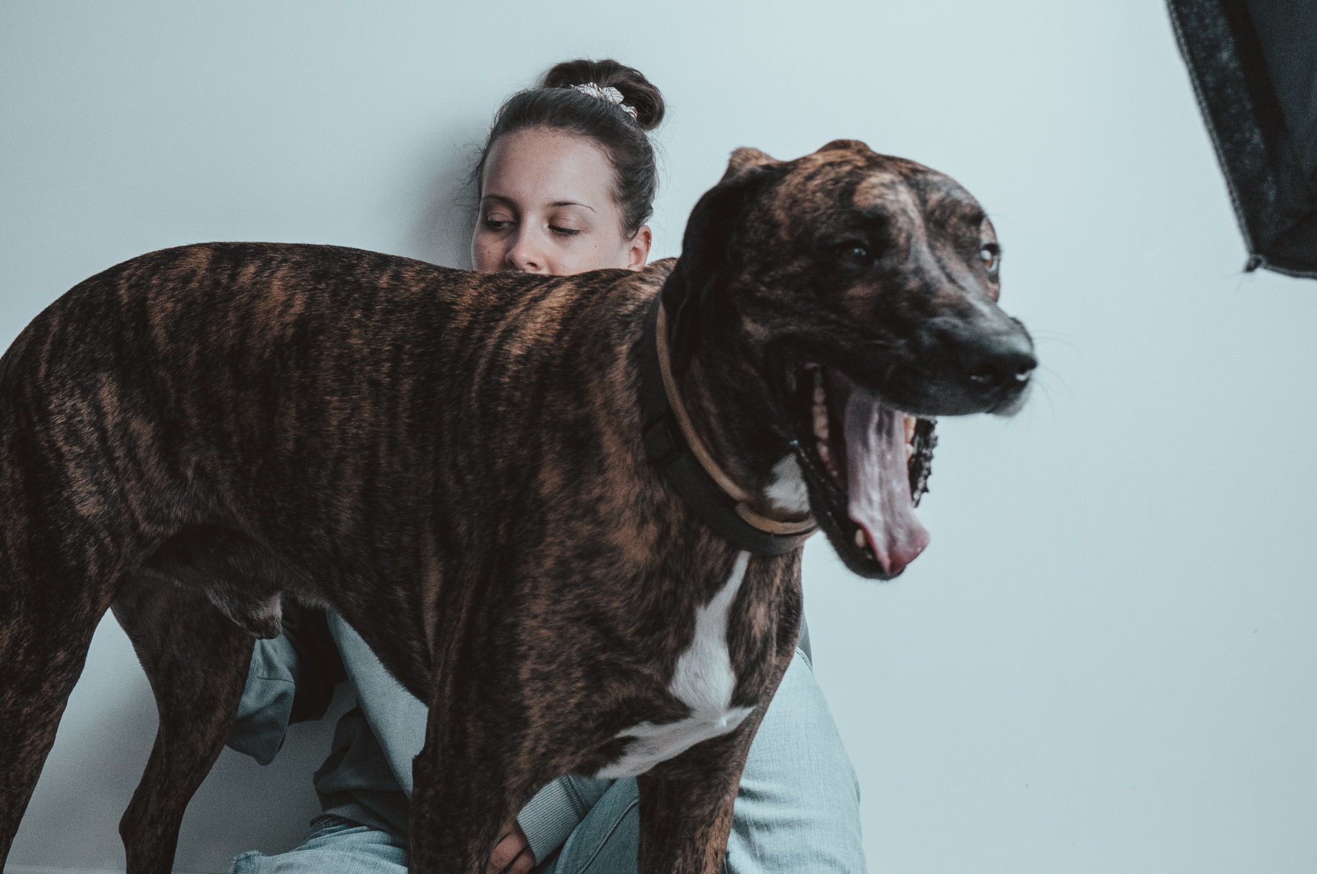 Unsplash/Mark Broadhead