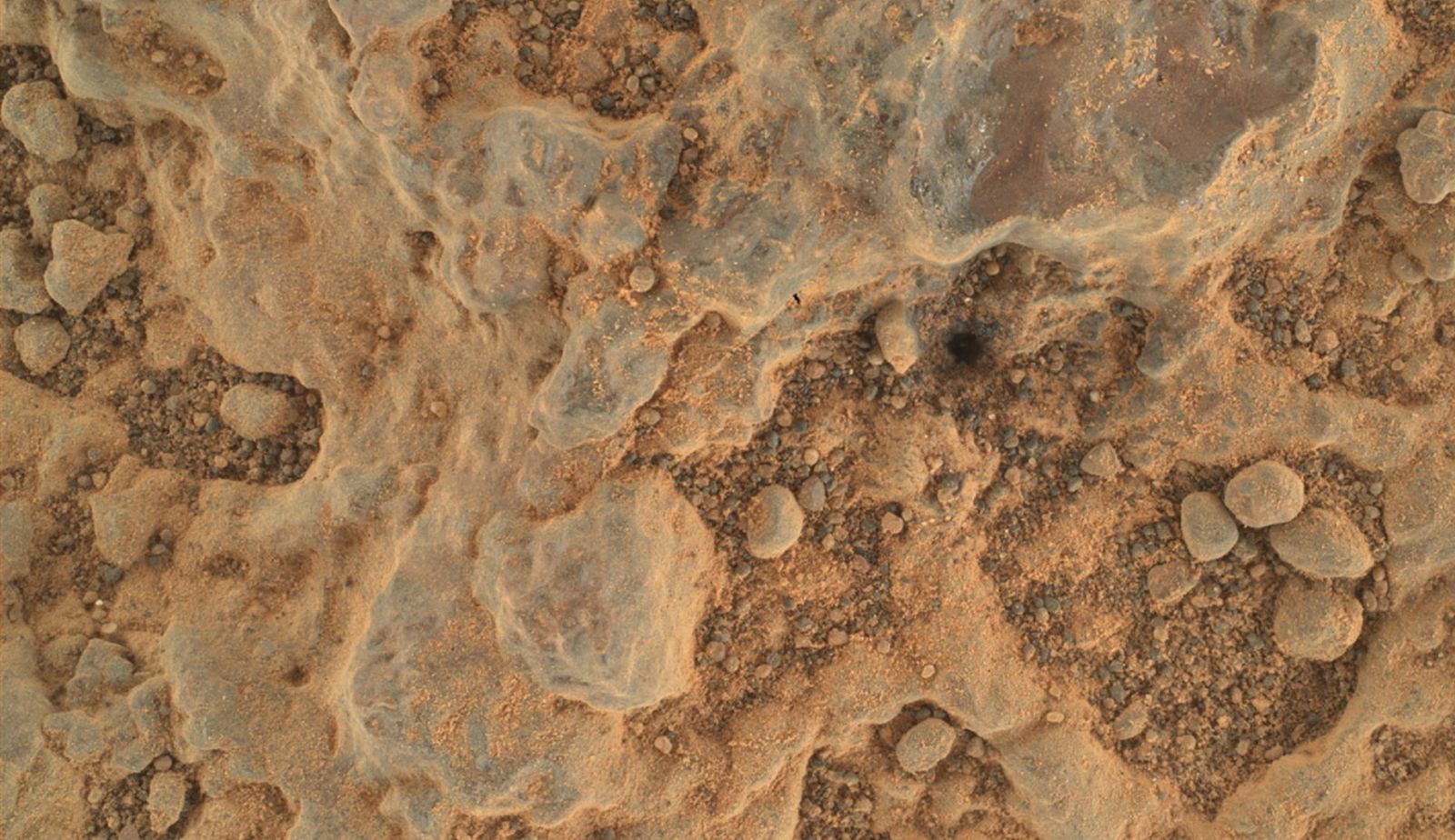 epa09356381 A handout picture made available by the National Aeronautics and Space Administration (NASA) shows a close-up view of a rock target nicknamed 'Foux', taken by NASA's Perseverance Mars rover using its WATSON (Wide Angle Topographic Sensor for Operations and eNgineering) camera, part of the SHERLOC instrument on the end of the rover's robotic arm, on Mars, 11 July 2021 (issued 21 July 2021), on the 139th Martian day, or sol, of the mission. The area within the camera is roughly 3.5 cm by 2.6 cm. A key objective for Perseverance's mission on Mars is astrobiology, including the search for signs of ancient microbial life. The rover will characterize the planet's geology and past climate, pave the way for human exploration of the Red Planet, and be the first mission to collect and cache Martian rock and regolith (broken rock and dust).  EPA/NASA/JPL-Caltech/MSSS HANDOUT  HANDOUT EDITORIAL USE ONLY/NO SALES