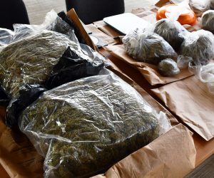 06.07.2021., Slavonski Brod - U postaji granicne policije Slavonski Brod odrzana je konferencija za medije u vezi pronalaska 5083,78 grama marihuane, koja je pronadjena prilikom pretrage stana koji je koristio 21 godisnjak s podrucja Slavonskog Broda.
Photo: Ivica Galovic/ PIXSELL
