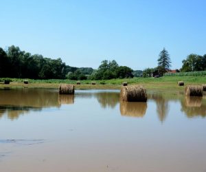 08.07.2019., Hampovica - Nestabilne vremenske prilike stvaraju velike stete u poljoprivredi. 
Photo: Damir Spehar/PIXSELL