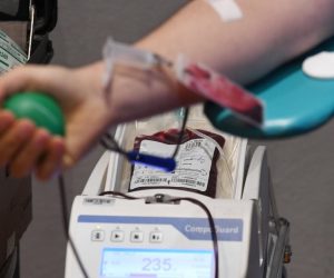 11.01,2021., Sibenik - Zbog nedostatka krvi u bolnicama sirom Hrvatske  Crveni Kriz Sibenik organizirao akciju darivanja krvi. Photo: Hrvoje Jelavic/PIXSELL