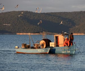 12.01.2021., Brodarica - Izlaskom sunca ribari u Brodarici kod Sibenika vec izvlace mreze i pregledavaju nocasnji ulov. Photo: Hrvoje Jelavic/PIXSELL