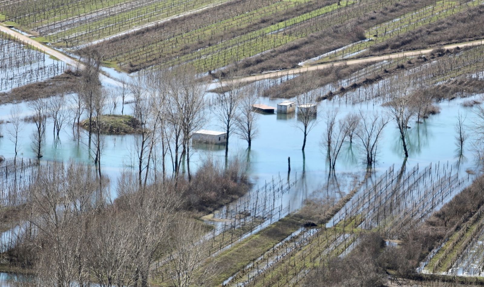 15.02.2021., Vrgorac - Poplavljeni vinogradi i vocnjaci u Pojezerju. Photo: Ivo Cagalj/PIXSELL