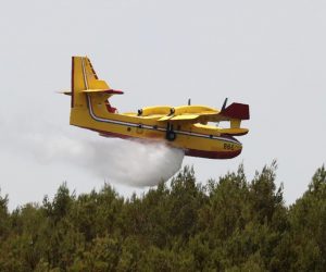 21.06.2021., Sibenik - Na benkovackoj cesti u pravcu Zagreba vatrogasci se uz pomoc kanadera bore sa pozarom. Photo: Dusko Jaramaz/PIXSELL