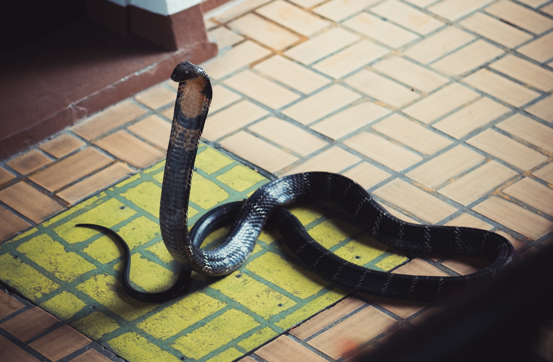 Unsplash/Hendrik Schlott
