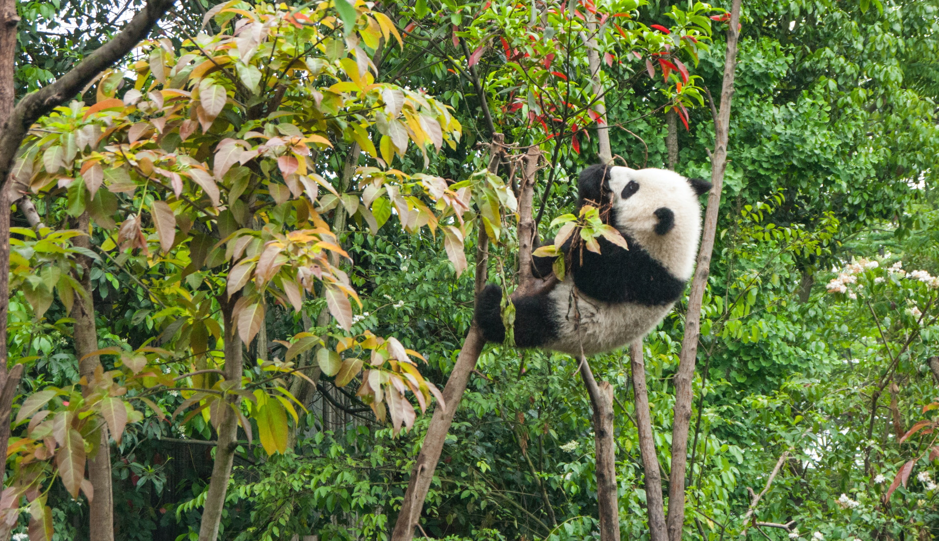 Unsplash/Chester Ho