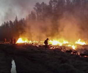epa09359691 A handout photo made available by the Ministry for Nature Protection of the Sakha Republic (Yakutia) on 23 July 2021, shows fire fighters try to extinguish wildfire in the Republic of Sakha (Yakutia), Russia.  According to the operational data of Russian Emergency ministry, 216 wildfires are active on the territory of the Republic of Sakha (Yakutia). 2,119 people and 297 pieces of equipment were involved in extinguishing forest fires in Yakutia.  EPA/MINISTRY OF NATURE PROTECTION OF YAKUTIA HANDOUT HANDOUT HANDOUT EDITORIAL USE ONLY/NO SALES HANDOUT EDITORIAL USE ONLY/NO SALES