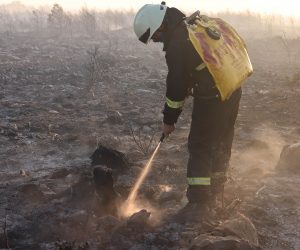 Biograd, 11.08.2021. - Vatrogasci su oko 19 sati stavili pod kontrolu požar koji je u poslijepodnevnim satima izbio iznad magistrale kod Crvene luke. 
foto HINA/ Zvonko KUCELIN/ zk