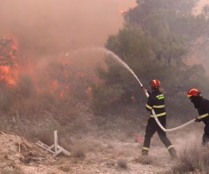02.08.2021., Trogir - Kod Segeta Gornjeg buknuo veliki pozar. Planulo je uz cestu.   Na terenu su sve raspolozive snage iz vatrogasnih drustava, te za sada nisu ugrozene kuce. 

Photo: Ivo Cagalj/PIXSELL