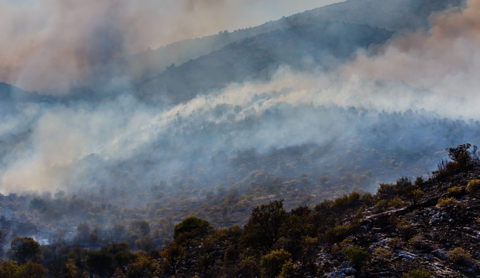 03.08.2021., Plano  - Veliki sumski pozar u okolici Planog.
Pozar koji je planuo jucer u okolici Segeta Gornjeg ponovno se aktivirao te presao na drugu stranu brda, nezaustavljivo se siri na sjeveroistok te ugrozava odasiljac na Labisnici. Photo: Zvonimir Barisin/PIXSELL