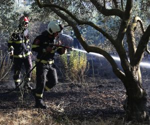 03.07.2021., Sibenik - Izbio pozar na Biocima kod "rasadnika". Na teren su izasle tri vatrogasne ekipe i brzom intervencijom stavile pozar pod kontrolu. Photo: Dusko Jaramaz/PIXSELL