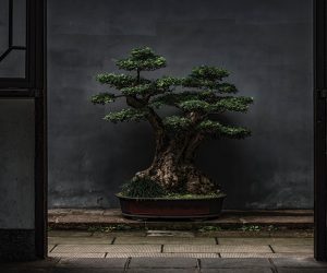 Unsplash/zhao chen