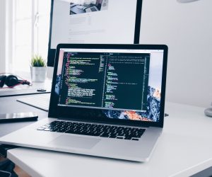 Unsplash/Christopher Gower